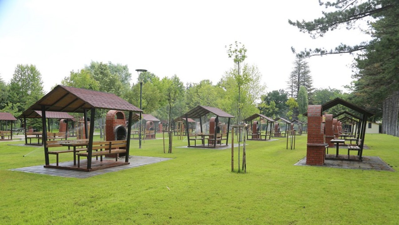 Regülatör Piknik Alanı
